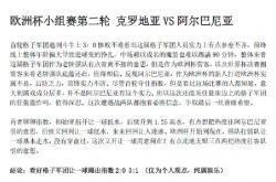 开云体育官网-塞尔维亚对决阿尔巴尼亚，欧洲杯资格生存考验的简单介绍