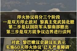 开云体育官方网站入口-以色列双雄告捷，黎巴嫩险胜挺进的简单介绍