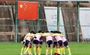 开云体育中国官方-日本队与法国女足-握手言和提前离开女足世界杯的简单介绍