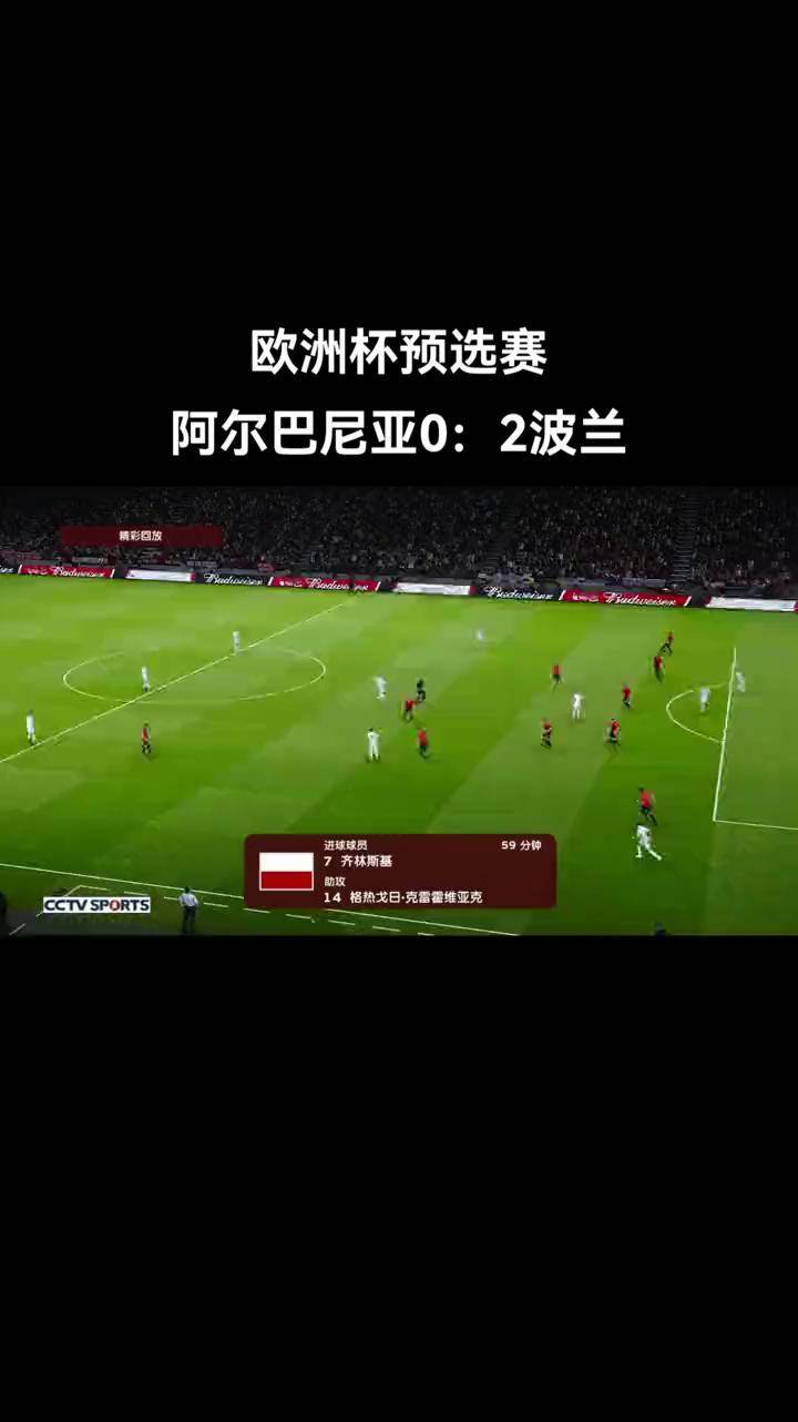 法国队对阵阿尔巴尼亚队，欧洲预选赛厮杀