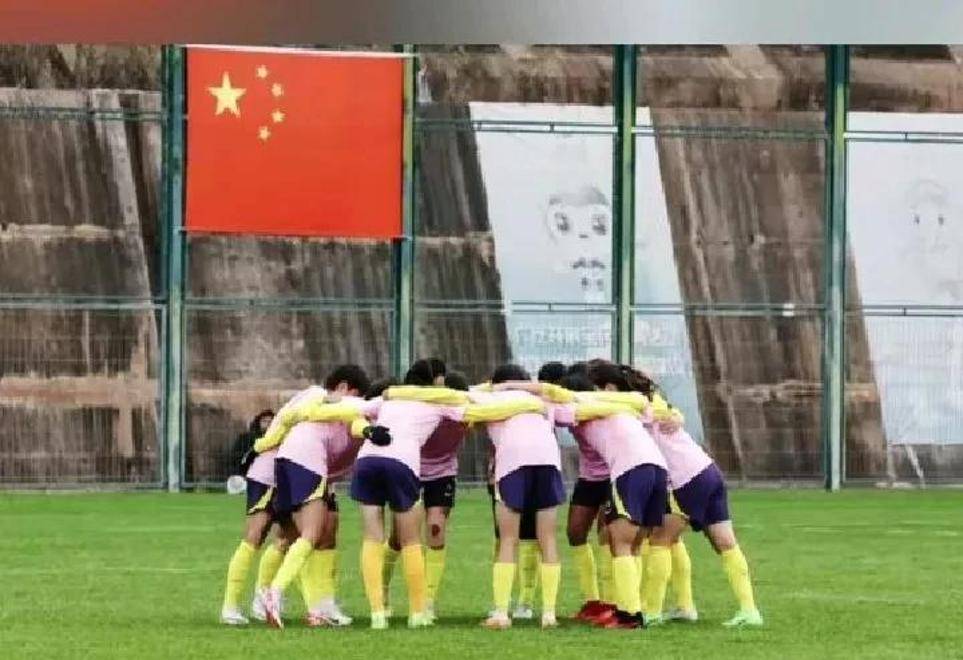 日本队与法国女足-握手言和提前离开女足世界杯的简单介绍